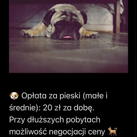 Grunwaldzka 96 Otel Bydgoszcz